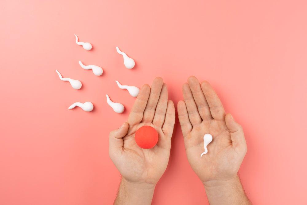 What is Precum? Can it get you Pregnant?