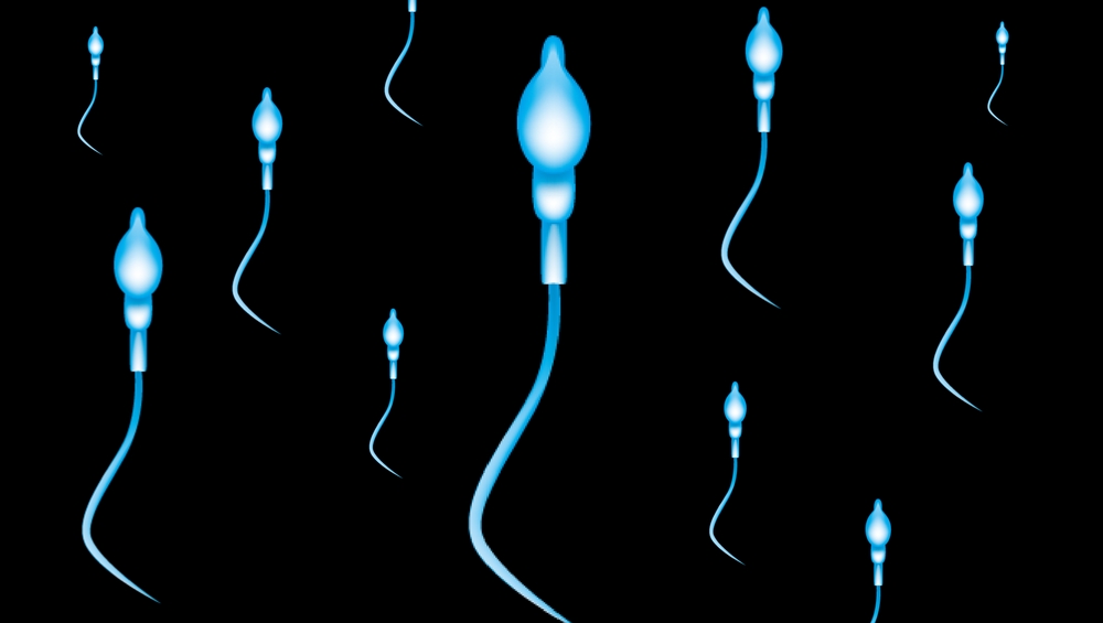 How to Boost Sperm Count in Males