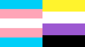 Trans flag